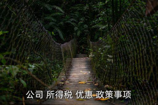 公司 所得稅 優(yōu)惠 政策事項(xiàng)