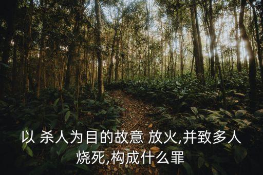 以 殺人為目的故意 放火,并致多人燒死,構(gòu)成什么罪