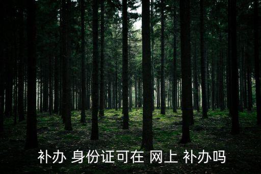  補辦 身份證可在 網(wǎng)上 補辦嗎