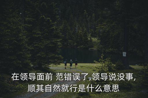 在領(lǐng)導(dǎo)面前 范錯誤了,領(lǐng)導(dǎo)說沒事,順其自然就行是什么意思