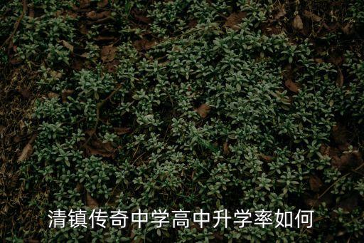 清鎮(zhèn)傳奇中學(xué)高中升學(xué)率如何