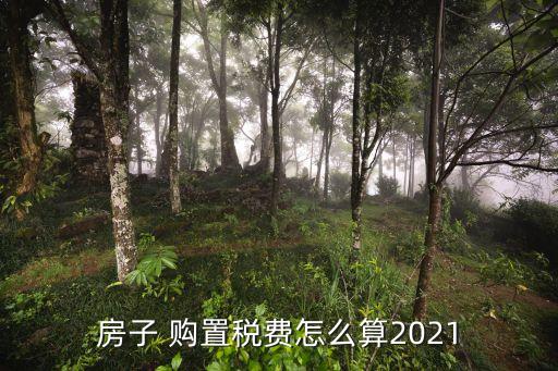 房屋購置稅計算器,100萬的房子要交多少稅費