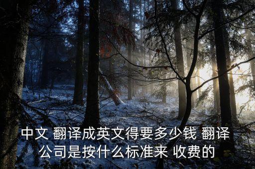 翻譯公司怎么收費,青島翻譯公司收費價格表