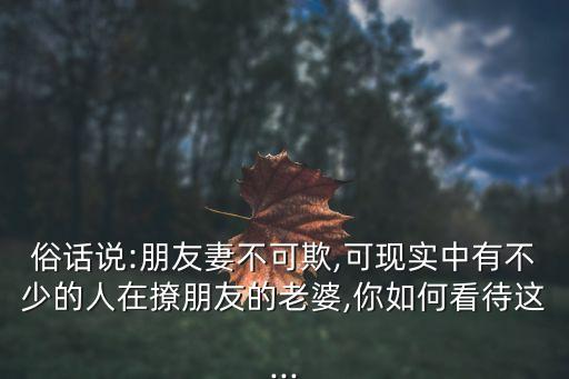 我朋友的愛人,與愛同居2