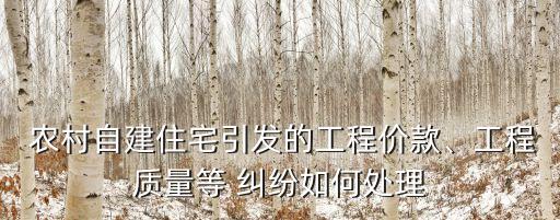  農(nóng)村自建住宅引發(fā)的工程價款、工程質(zhì)量等 糾紛如何處理