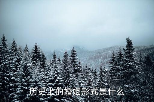 歷史上的婚姻形式是什么