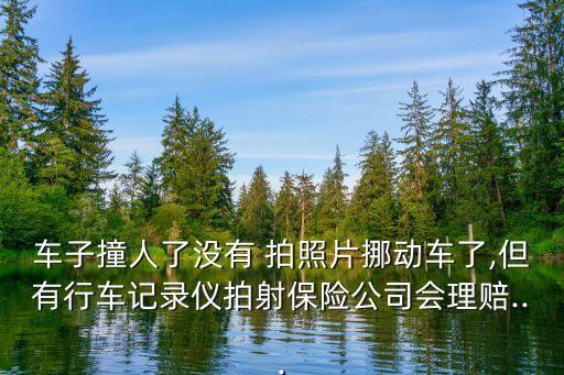 沒拍照就移車了還能報保險嗎,車掉溝里了怎么辦找誰施救
