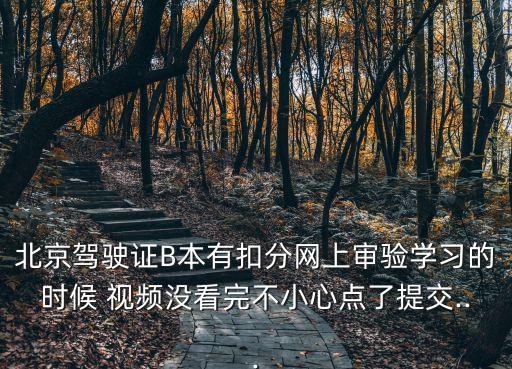 北京駕駛證B本有扣分網(wǎng)上審驗(yàn)學(xué)習(xí)的時(shí)候 視頻沒(méi)看完不小心點(diǎn)了提交...