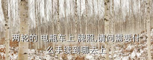 電瓶車(chē)怎么上牌照,買(mǎi)別人二手電瓶車(chē)怎么上牌照