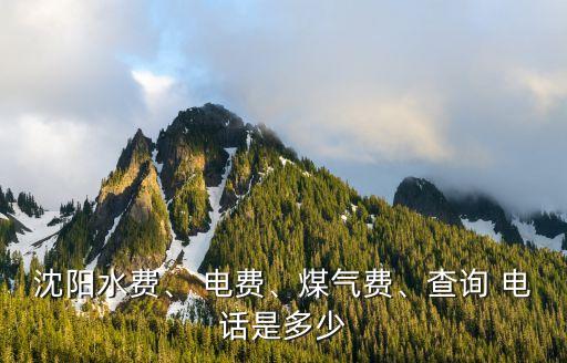 電費人工服務(wù)電話,95598電費網(wǎng)上查詢