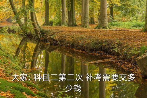 大家: 科目二第二次 補考需要交多少錢