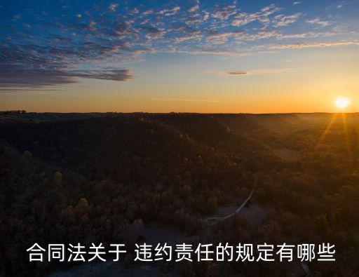  合同法關(guān)于 違約責任的規(guī)定有哪些