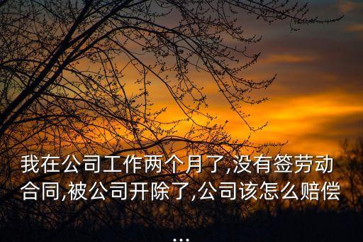 我在公司工作兩個月了,沒有簽勞動 合同,被公司開除了,公司該怎么賠償...
