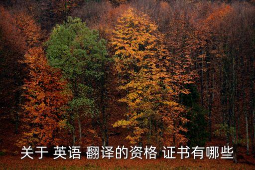關于 英語 翻譯的資格 證書有哪些