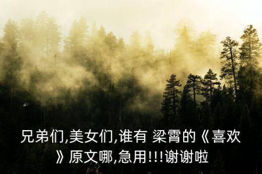 兄弟們,美女們,誰有 梁霄的《喜歡》原文哪,急用!!!謝謝啦