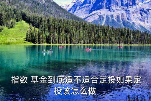  指數(shù) 基金到底適不適合定投如果定投該怎么做