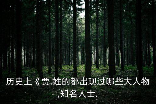 歷史上《賈.姓的都出現(xiàn)過哪些大人物,知名人士.