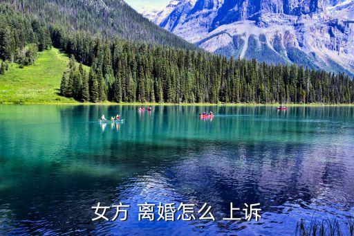 上訴離婚,起訴離婚需要提供什么材料