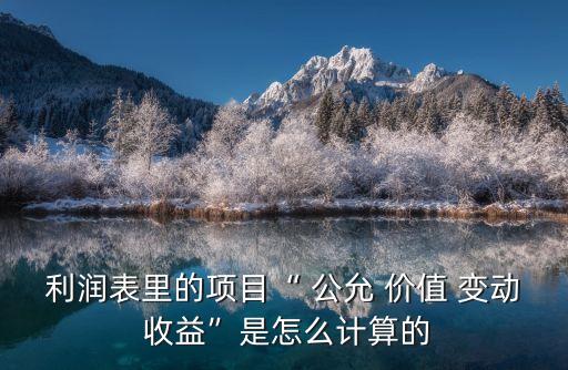 公允價(jià)值變動(dòng)收益