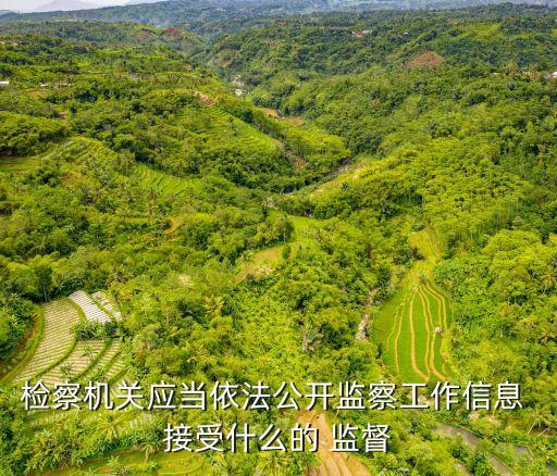檢察機關(guān)應(yīng)當(dāng)依法公開監(jiān)察工作信息 接受什么的 監(jiān)督