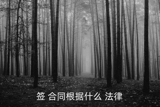 簽 合同根據(jù)什么 法律