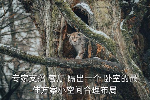 專家支招 客廳 隔出一個(gè) 臥室的最佳方案小空間合理布局