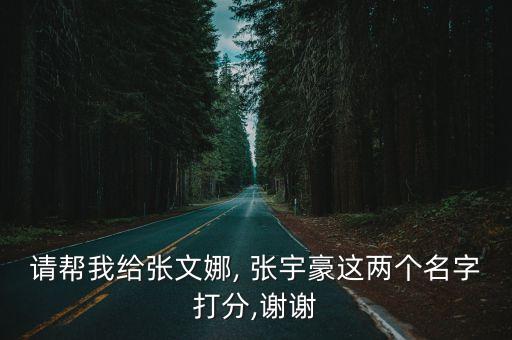 請幫我給張文娜, 張宇豪這兩個名字打分,謝謝