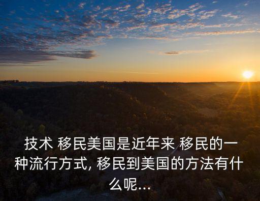 美國技術(shù)移民