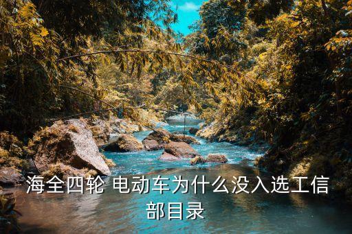  海全四輪 電動車為什么沒入選工信部目錄