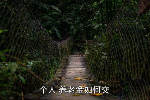 個(gè)人 養(yǎng)老金如何交