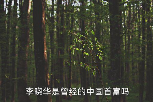 李曉華