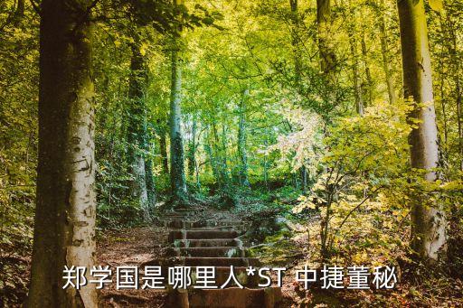 鄭學(xué)國(guó)是哪里人*ST 中捷董秘