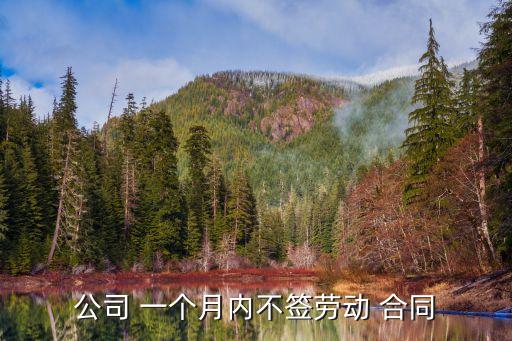 公司 一個月內(nèi)不簽勞動 合同