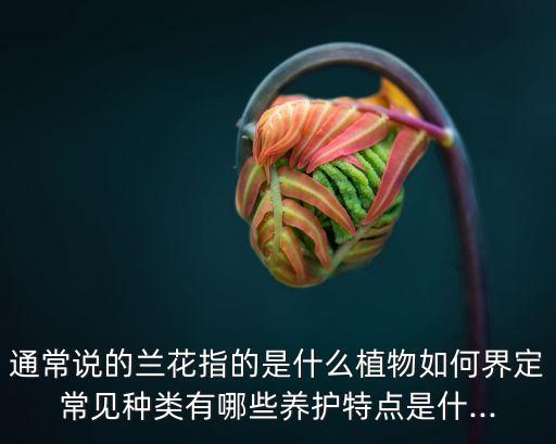 碧玉蘭