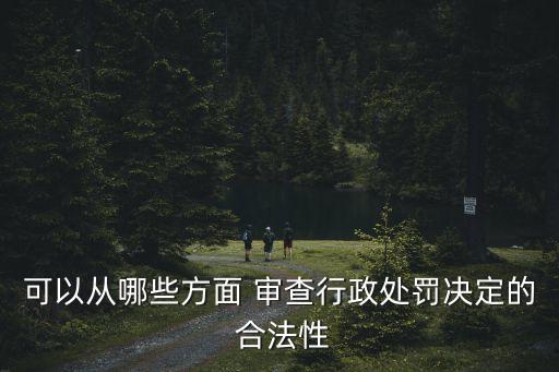 合法性審查