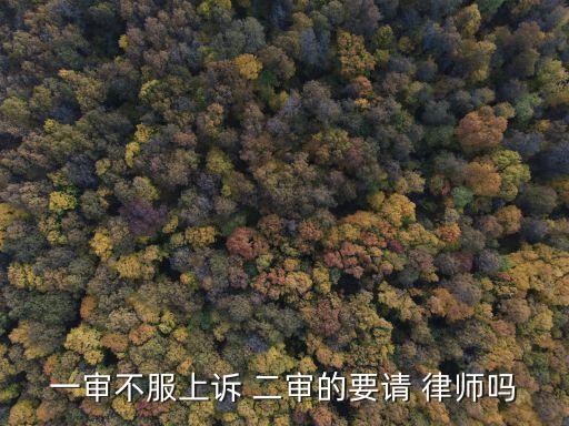 一審不服上訴 二審的要請(qǐng) 律師嗎