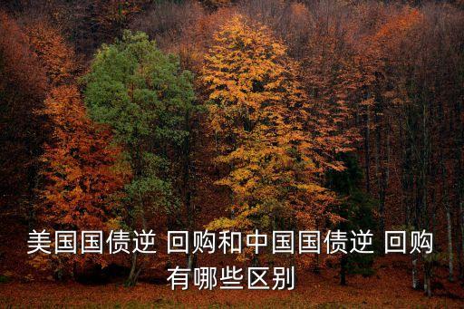 美國國債逆 回購和中國國債逆 回購有哪些區(qū)別