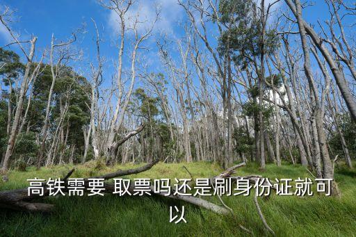  高鐵需要 取票嗎還是刷身份證就可以