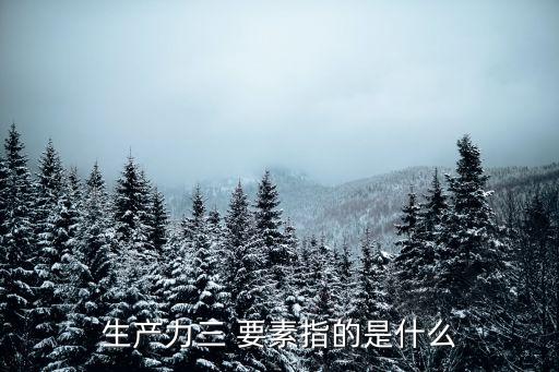 生產(chǎn)力三 要素指的是什么