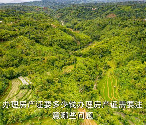 領(lǐng)證要多少錢,領(lǐng)證多少錢9.9