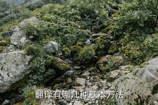 翻譯的基本技巧轉(zhuǎn)型與變態(tài)