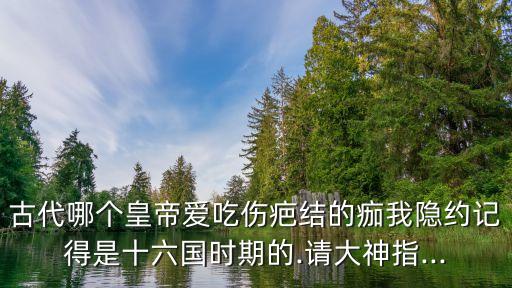 古代哪個皇帝愛吃傷疤結的痂我隱約記得是十六國時期的.請大神指...