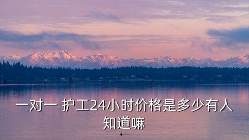 一對(duì)一 護(hù)工24小時(shí)價(jià)格是多少有人知道嘛