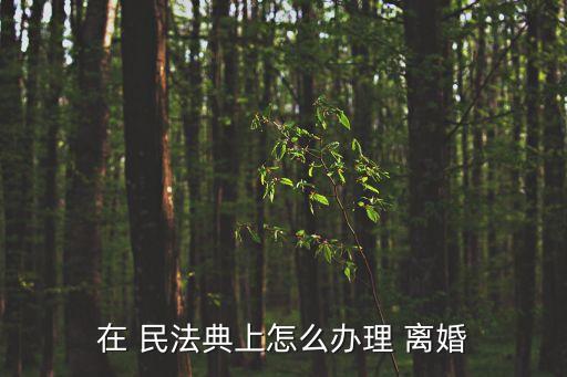 民法典離婚流程