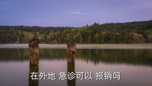 在外地 急診可以 報銷嗎