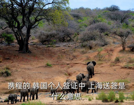 攜程的 韓國(guó)個(gè)人簽證中 上海送簽是什么意思