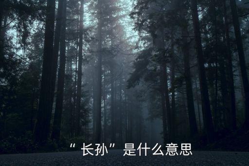 “ 長孫”是什么意思