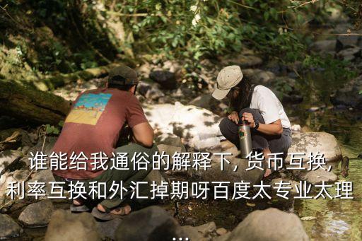 貨幣交換,貨幣互換例題詳解及圖示