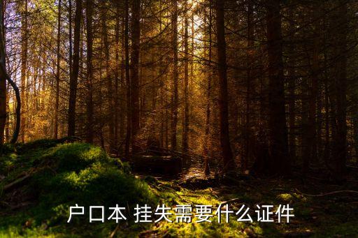  戶口本 掛失需要什么證件