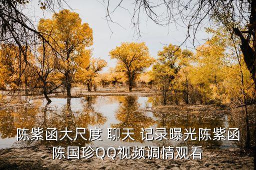 露骨聊天記錄